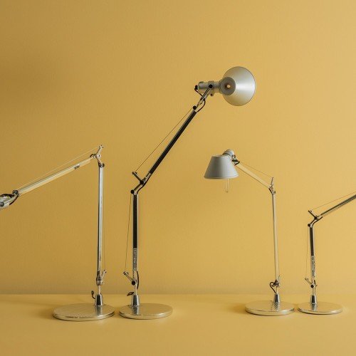 Familia Tolomeo en fondo amarillo Familia Tolomeo en fondo amarillo